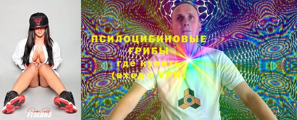гидра Бугульма