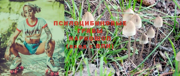 прущая мука Богородск