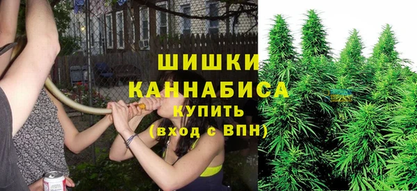 прущая мука Богородск