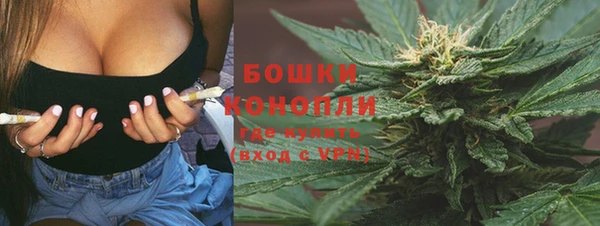 первитин Богородицк